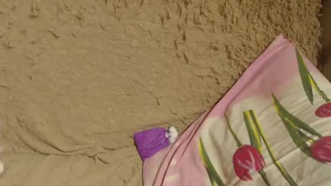 say meow and send tips  online show from December 19, 2024, 2:34 am