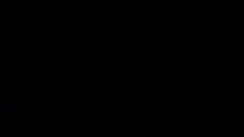 ColeKaine online show from December 17, 2024, 11:28 am