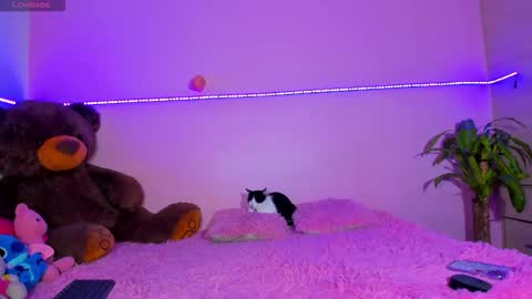 Onika   instagram   canndy888  online show from October 12, 2025, 1:37 am