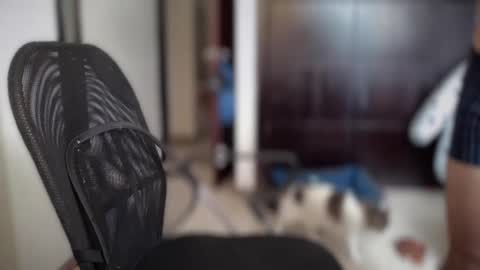 carlcarlinches4 online show from March 10, 2025, 2:59 pm