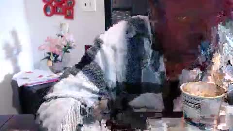 Snapshot of carliecreams chatting on March 13, 2026, 2:45 pm Carlie online show from March 13, 2026, 2:45 pm