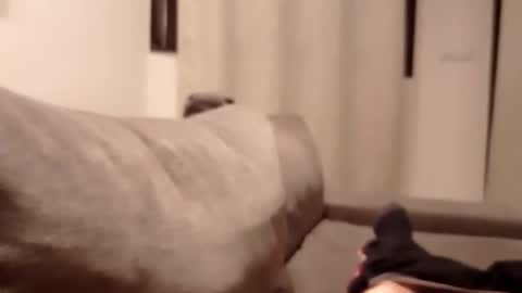 carlitito1 online show from October 30, 2025, 5:35 pm