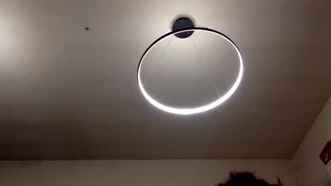 Snapshot of carlos037tm chatting on February 8, 2025, 9:04 pm Carlos online show from February 8, 2025, 9:04 pm