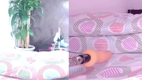 Carol online show from April 10, 2026, 11:04 am