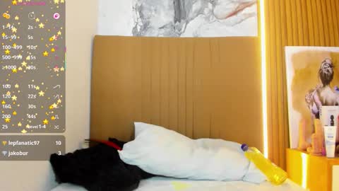 Snapshot of carolinecastle chatting on March 21, 2026, 8:19 am OSNA online show from March 21, 2026, 8:19 am