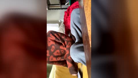 Snapshot of carrrigggg chatting on March 3, 2026, 9:15 am carrrigggg online show from March 3, 2026, 9:15 am