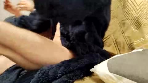 casal_301 online show from February 23, 2025, 10:20 pm