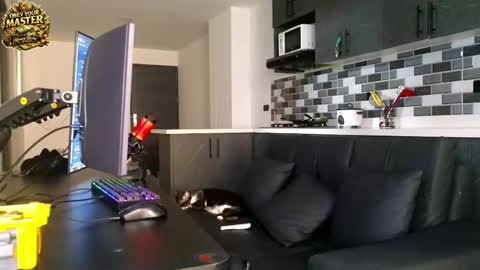 Snapshot of cash_master777 chatting on May 21, 2026, 1:07 pm cash_master777 online show from May 21, 2026, 1:07 pm