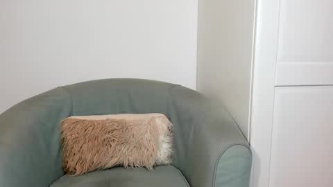 cassiecute - onlyfans account online show from March 26, 2026, 8:47 pm