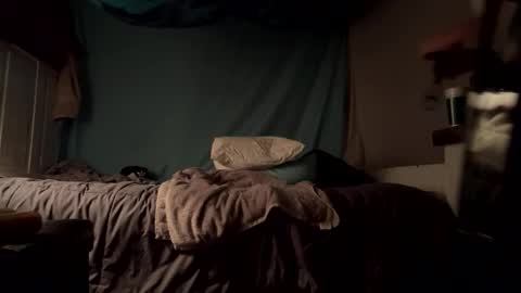 Snapshot of cassieophia chatting on February 12, 2025, 9:31 am cassieophia online show from February 12, 2025, 9:31 am