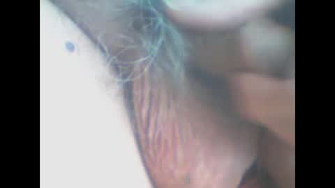 Snapshot of castells chatting on April 11, 2026, 4:00 pm castells online show from April 11, 2026, 4:00 pm