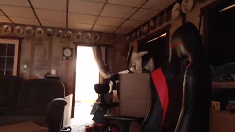 cat online show from September 13, 2025, 3:34 pm