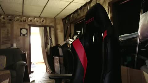 cat online show from October 24, 2025, 4:25 pm