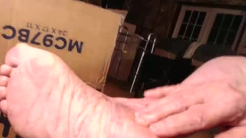 cat online show from October 28, 2025, 7:27 pm