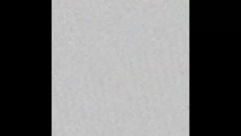 cat_cash_ online show from September 12, 2025, 5:51 am