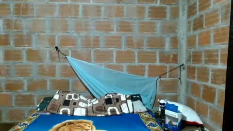 catalina online show from November 5, 2025, 2:55 am