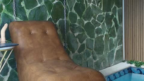 Dani   online show from April 2, 2026, 3:09 pm