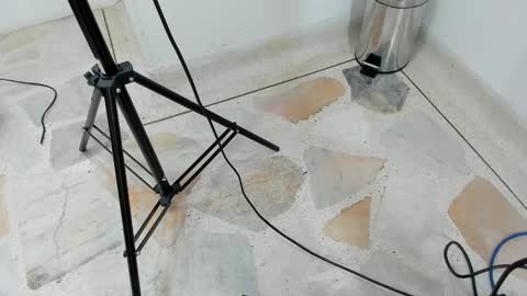 catalina ada online show from March 11, 2025, 5:46 pm