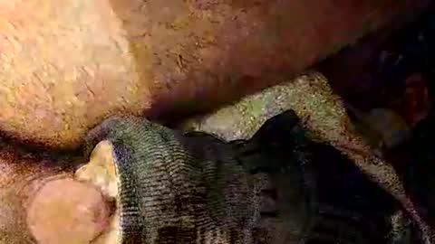 Snapshot of catdaddy179057 chatting on March 1, 2026, 2:19 pm catdaddy179057 online show from March 1, 2026, 2:19 pm