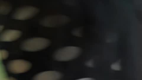 cattleyascaly online show from September 25, 2025, 7:39 pm