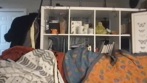 cattypants online show from September 10, 2025, 10:48 am