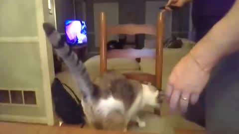 Snapshot of cbisc chatting on March 28, 2026, 12:10 am cbisc online show from March 28, 2026, 12:10 am