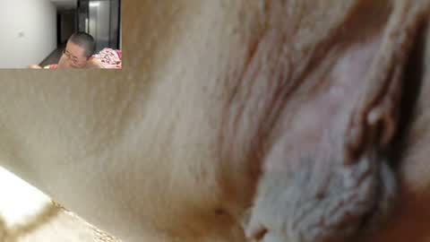 ANNYANNY online show from June 25, 2026, 2:54 pm