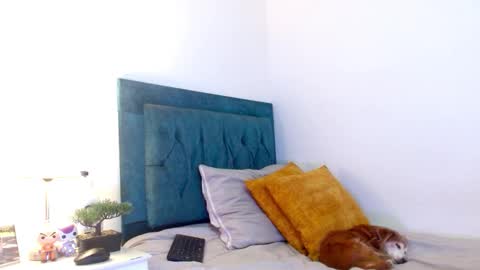 Cedrixx10 online show from February 25, 2026, 10:19 pm