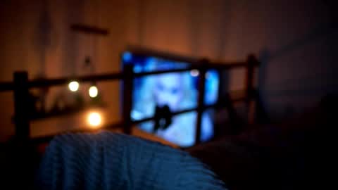 Sunflower  online show from February 14, 2026, 5:10 pm