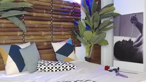 CelesteBailey online show from January 26, 2025, 6:38 am