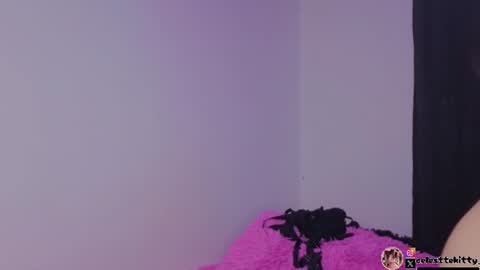 celestte_evans_1 online show from July 9, 2026, 6:17 am