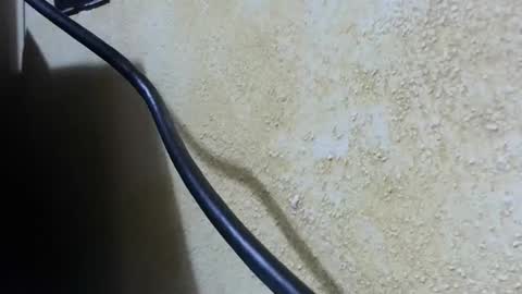 celhoduro23c online show from November 28, 2025, 8:55 pm