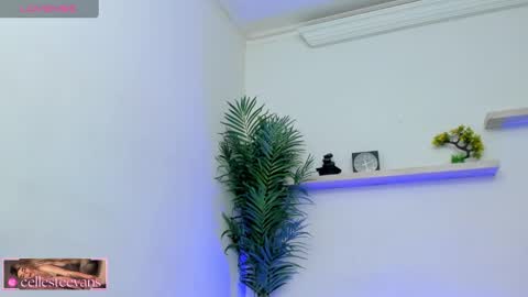 Celeste  online show from February 11, 2025, 3:18 pm