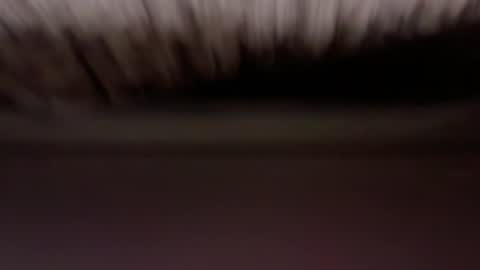 cenobitfor online show from March 6, 2026, 11:28 am