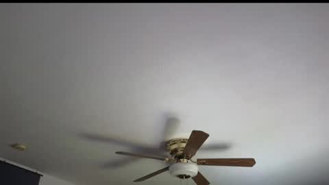 Marie online show from April 7, 2026, 5:35 pm