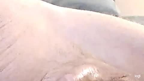 Snapshot of cfnmkinky28 chatting on December 17, 2024, 9:07 am cfnmkinky28 online show from December 17, 2024, 9:07 am