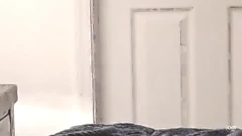 Snapshot of cfnmkinky28 chatting on December 24, 2024, 3:05 am cfnmkinky28 online show from December 24, 2024, 3:05 am