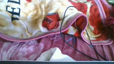 Snapshot of chantale483461 chatting on May 10, 2026, 5:18 pm chantale483461 online show from May 10, 2026, 5:18 pm