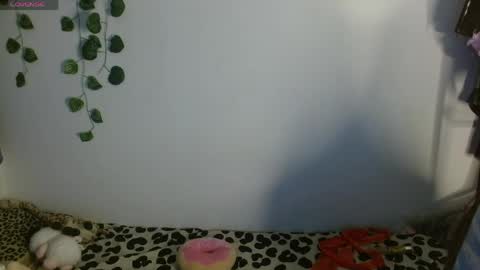 Ale punky online show from May 13, 2026, 2:53 am