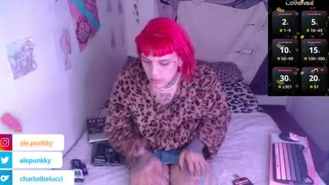 Ale punky online show from June 27, 2026, 11:04 am