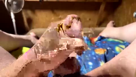 Snapshot of chasepeewee2 chatting on February 16, 2025, 3:58 am chasepeewee2 online show from February 16, 2025, 3:58 am