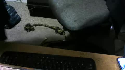 chefy online show from November 10, 2025, 10:14 am