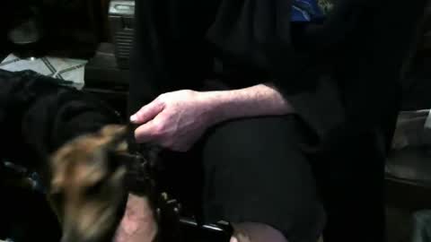 chefy online show from December 3, 2025, 11:41 am