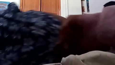 ChemicalX  online show from March 9, 2026, 8:13 pm