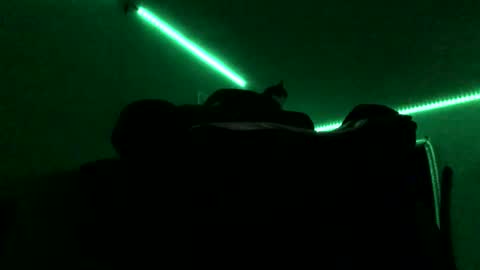 chenovich online show from November 16, 2025, 9:04 am