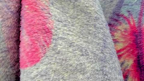 Snapshot of cherry_pussy1 chatting on October 6, 2025, 9:40 am Mia online show from October 6, 2025, 9:40 am