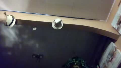 chi579822 online show from June 5, 2026, 7:58 am