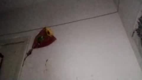 Snapshot of chinanochina11 chatting on November 7, 2025, 5:18 am China online show from November 7, 2025, 5:18 am