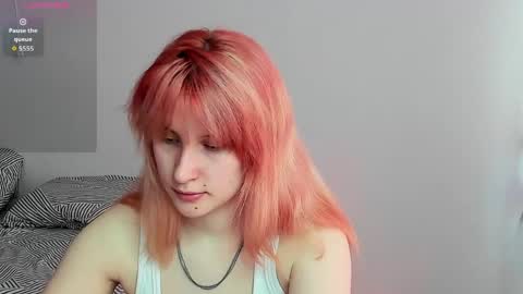 choco_meowx online show from May 6, 2026, 8:41 am