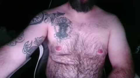 chub bear 99 online show from April 21, 2026, 1:53 am